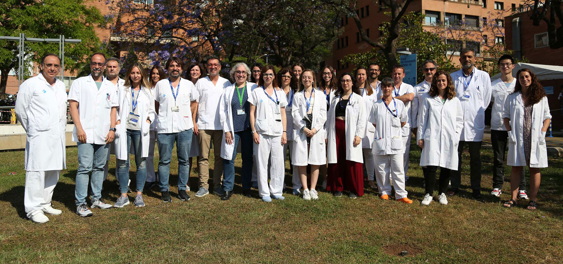 imatge-medica-molecular-grup
