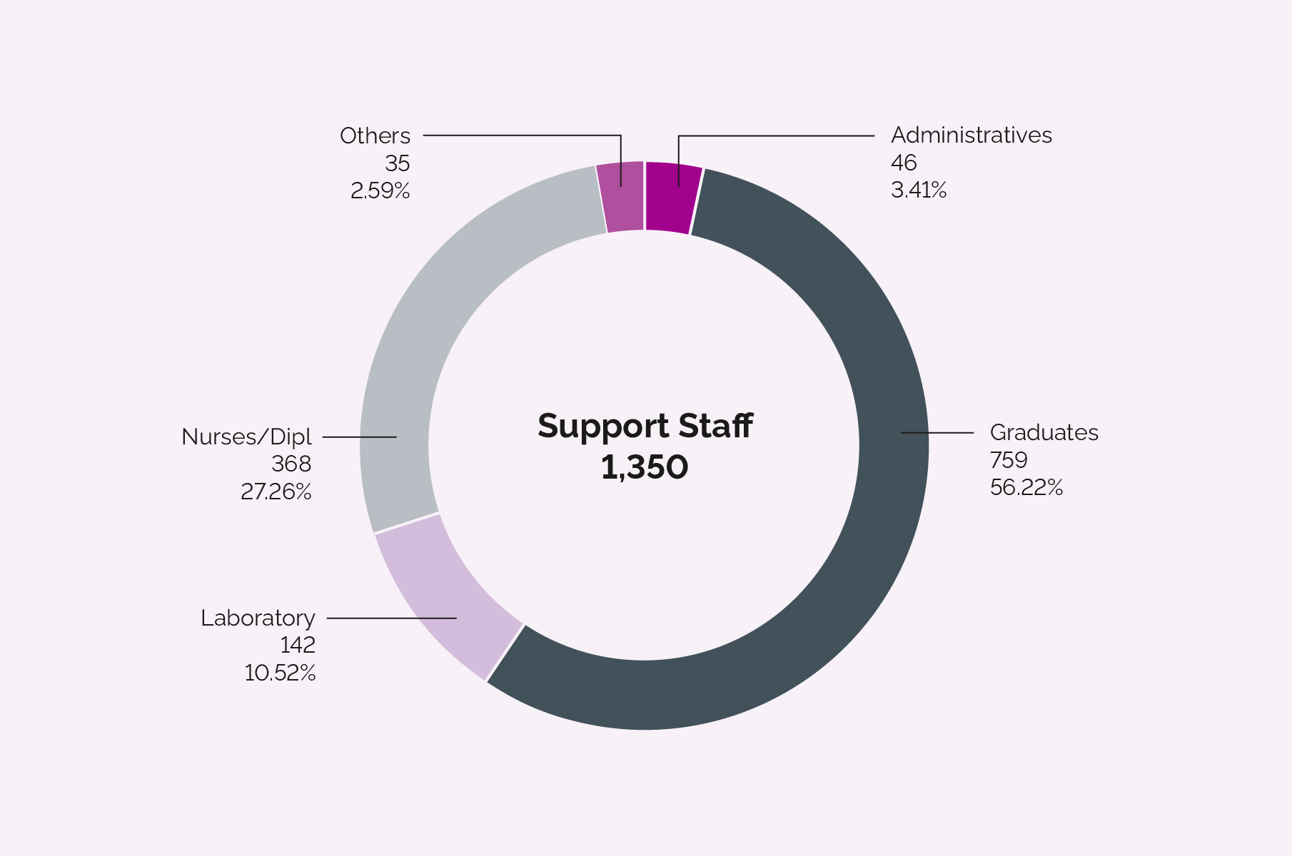 Distribution according to profesional category Support Staff