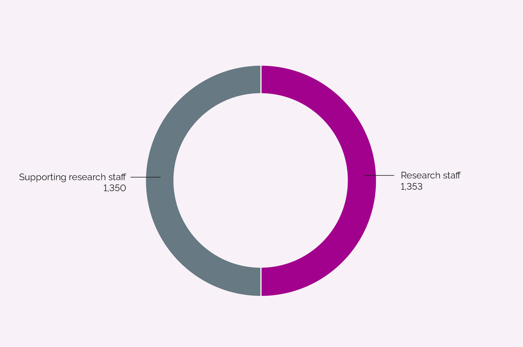 Distribution according to professional group 2025